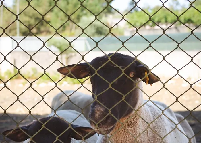 וילה Casa Milheirices